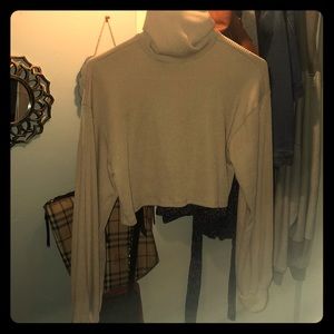 Turtle neck crop top
